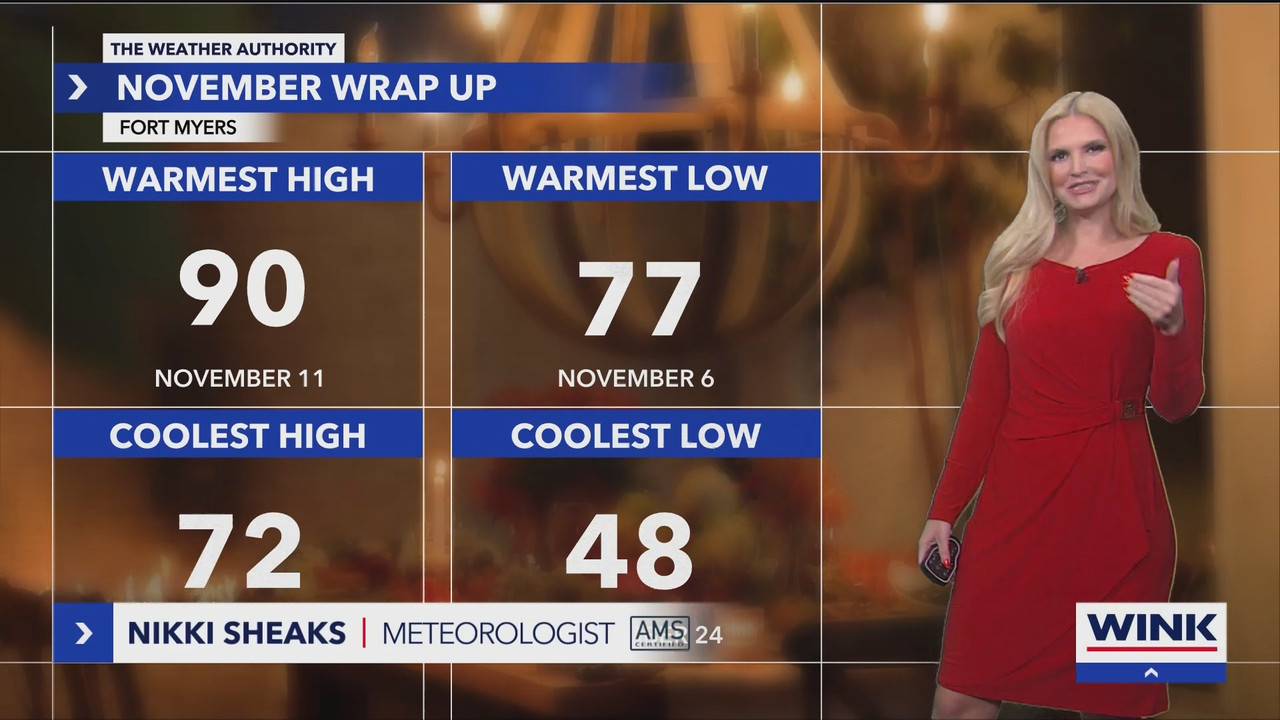 WINK News at 11_20241201_04000500.ts_snapshot_00.12.46.683