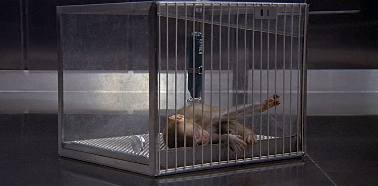 ANDROMEDA-STRAIN-1-FOTOR.jpg