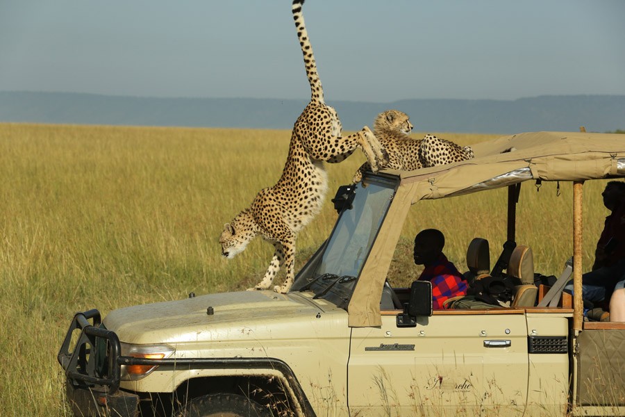 Safari game drive in Samburu Kenya