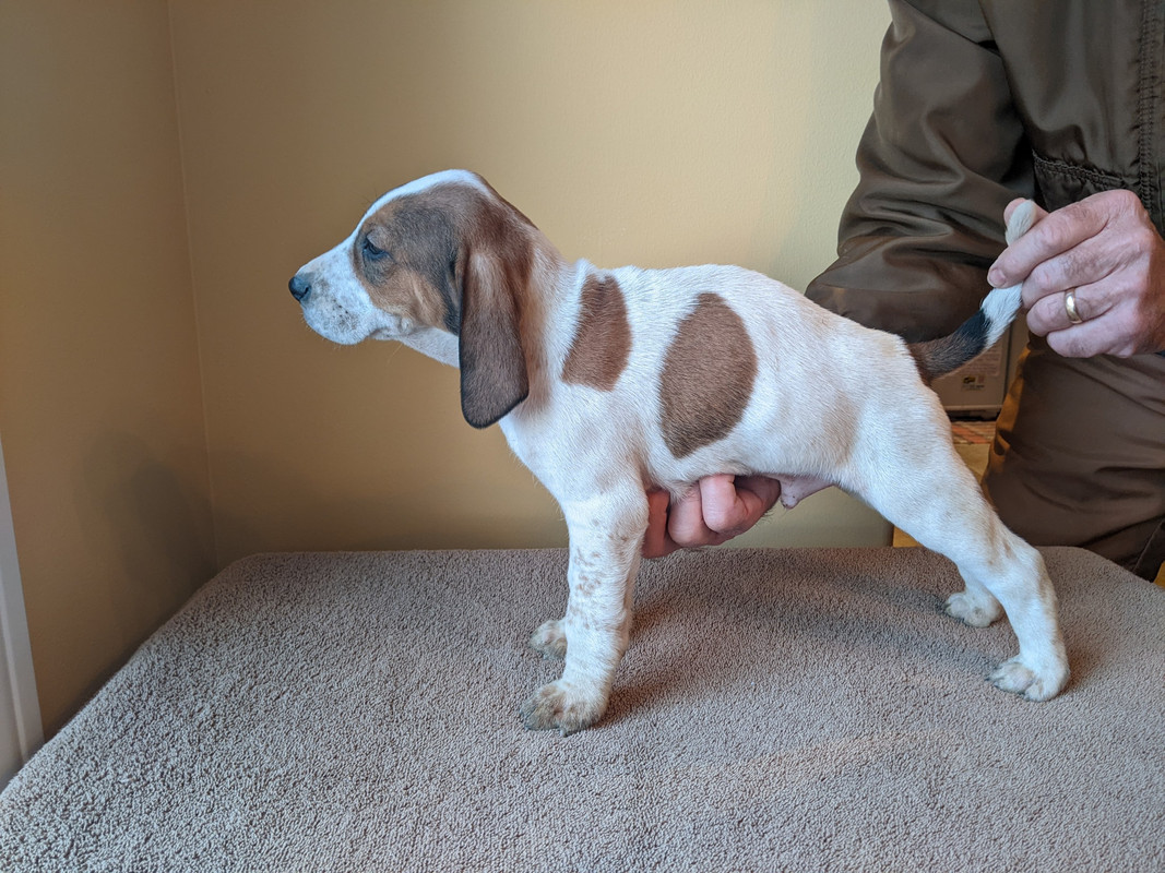 78FF17BB-B77D-44C7-9C3B-F67F241BC97A