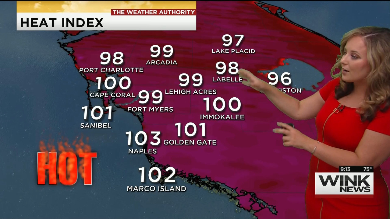 23 May - 14.00.00 - WINK News @ 9 00AM..ts_snapshot_00.17.44_[2020.05.23_17.12.56]