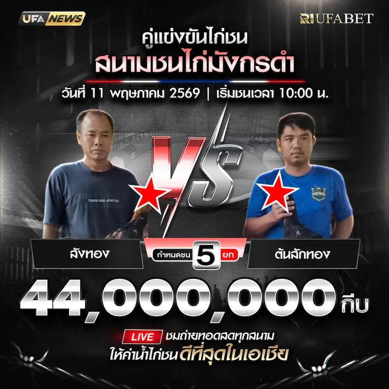 โปรแกรมไก่ชน สนามชนไก่มังกรดำ999 สปป.ลาว วันที่ 11 พฤษภาคม 2569 สังทอง vs ต้นสักทอง