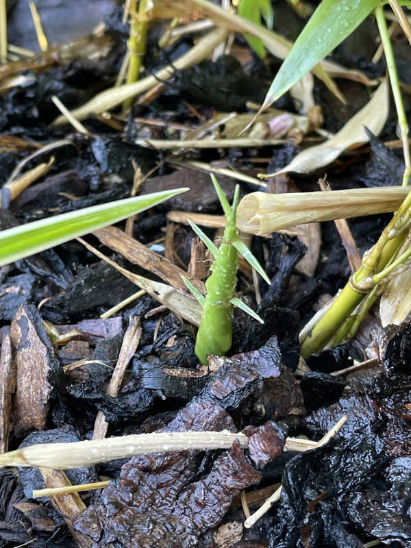 51A055E2-04E4-4B72-B6C8-CF29947AC486