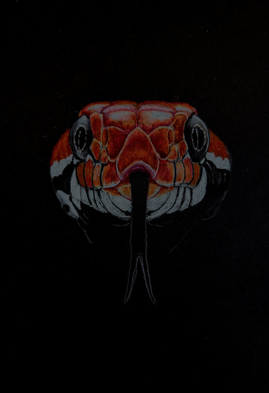 PXL_20250914_131138240~3