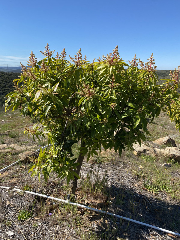 F9A0B716-84C9-4DE4-ACE5-7CF6659438A0