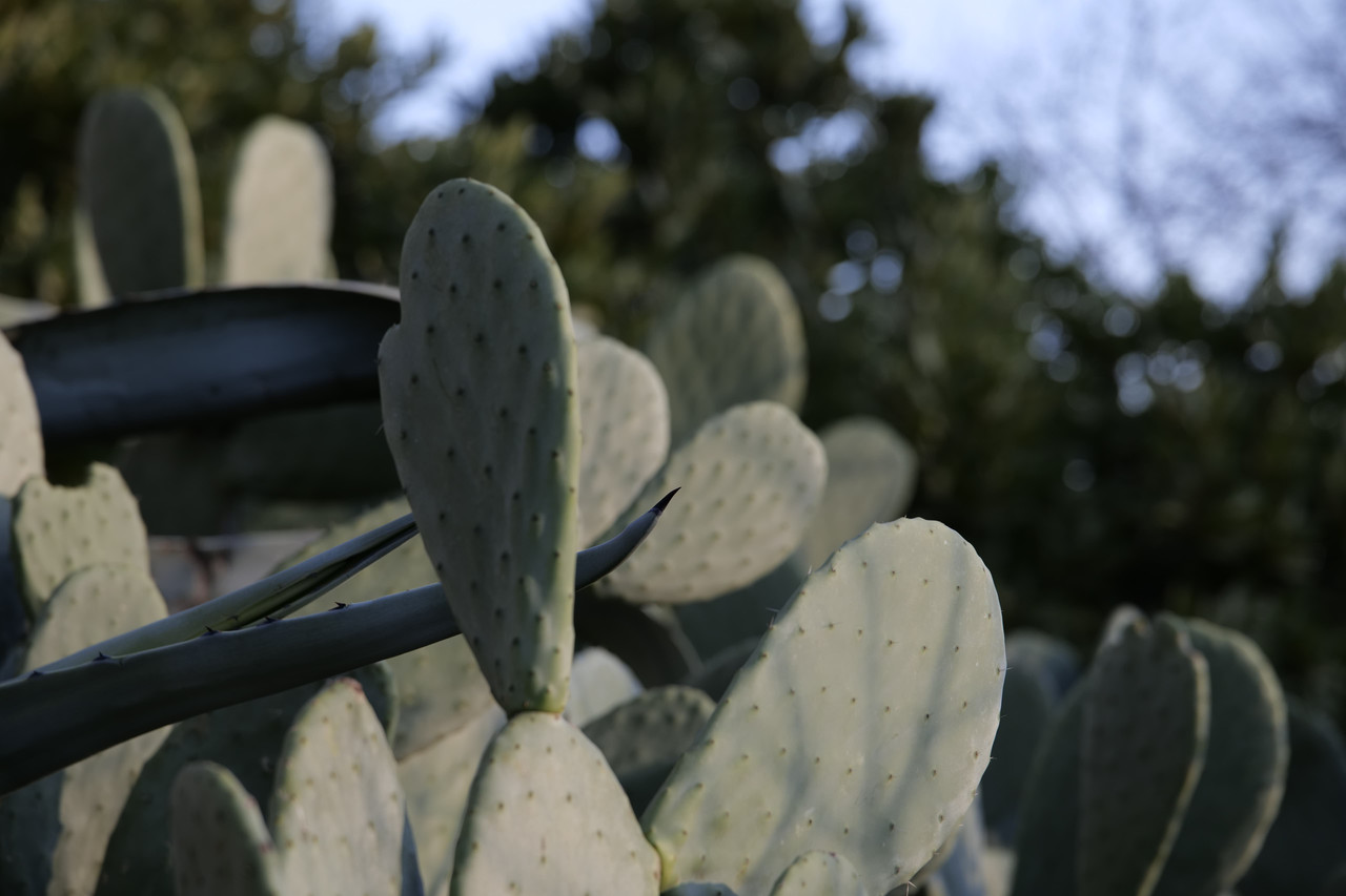 Whats App Image 2025 12 31 at 23 58 29