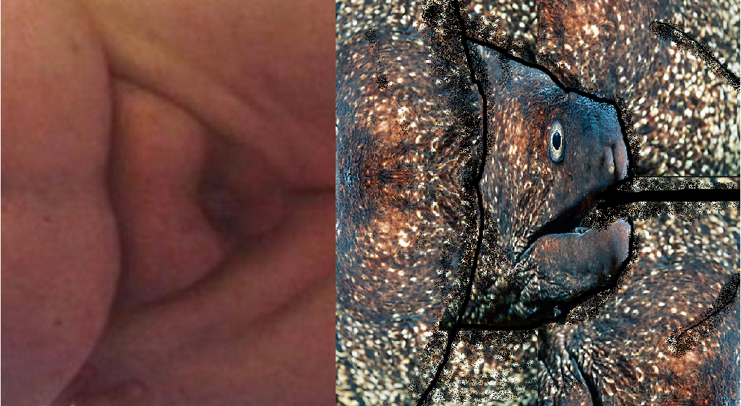 drachenlordpensi.png