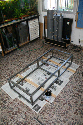 IMG_3674-400.gif