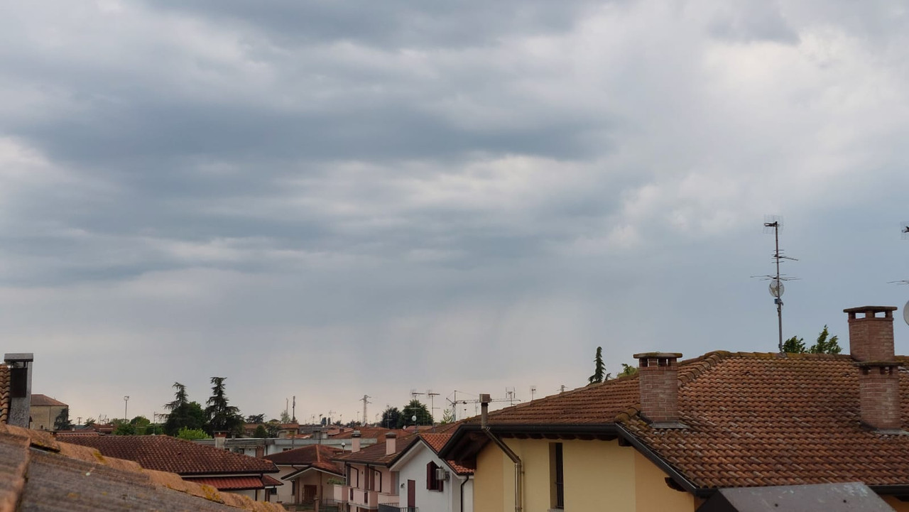 WhatsApp Image 2022-05-01 at 15.49.19 (1)