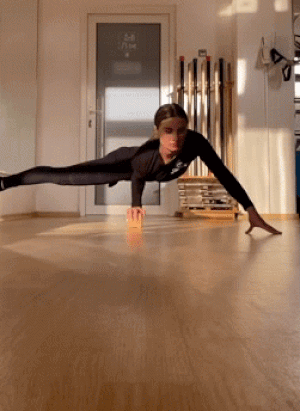 IMG-6739.gif