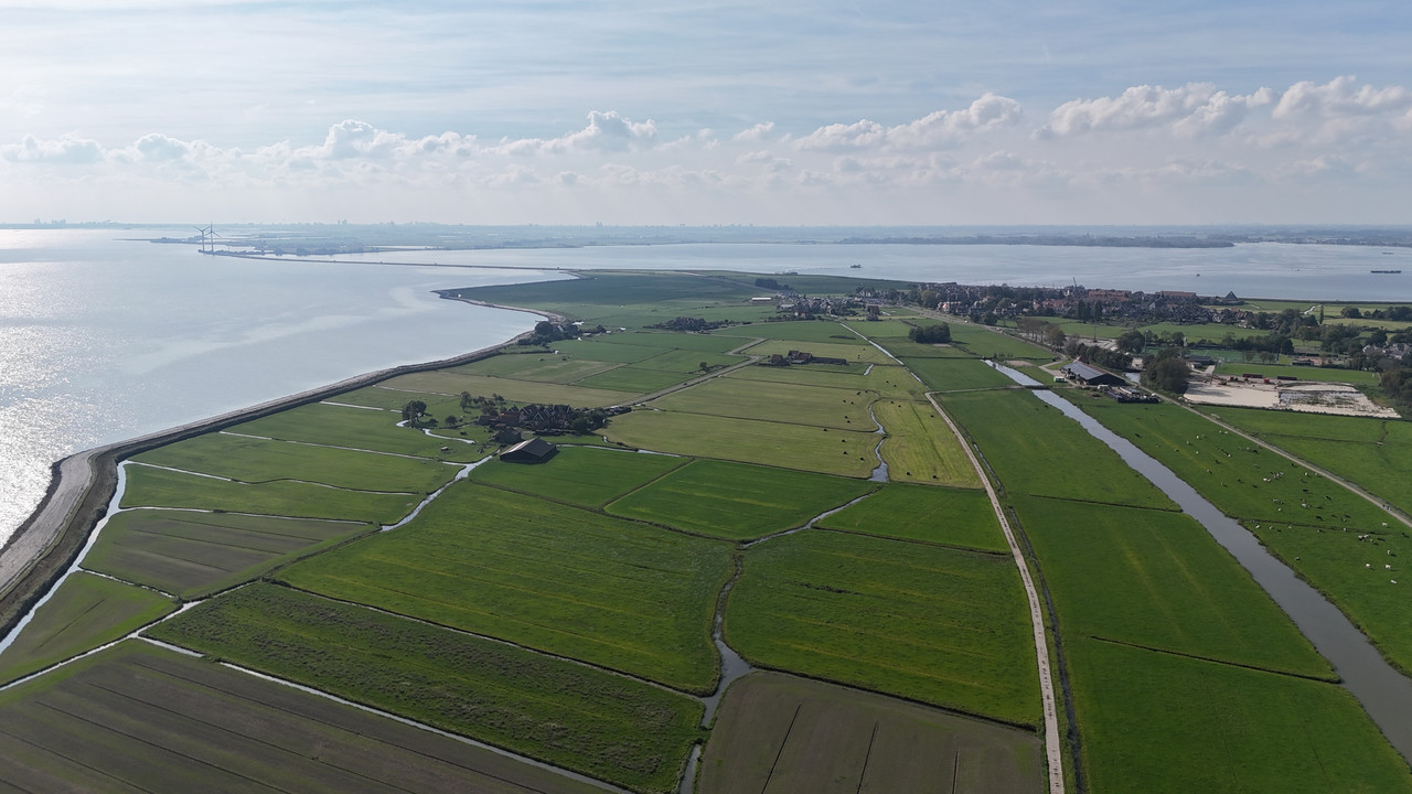 Трое в Амстердаме, не считая собаки. Переезд в Нидерланды.