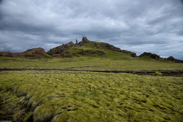 Мох в Исландии настолько глубок, что ходишь по нему, как по подушке