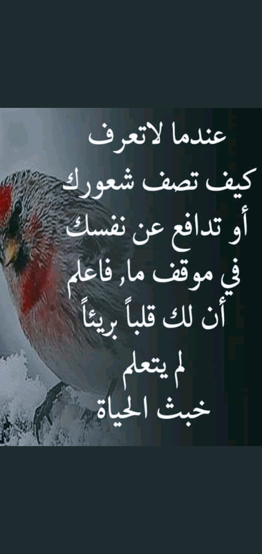 Screenshot_٢٠٢١٠٥٣٠-١٥٠١٠١