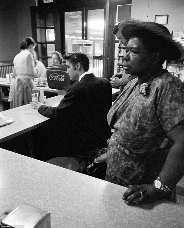 elvis