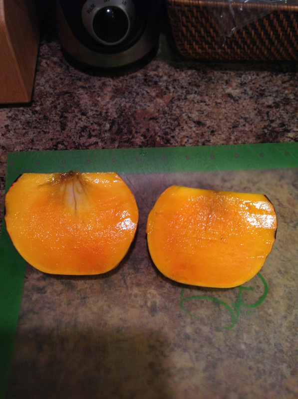 c9ed1847aacaef01ea806a31d95e6fac