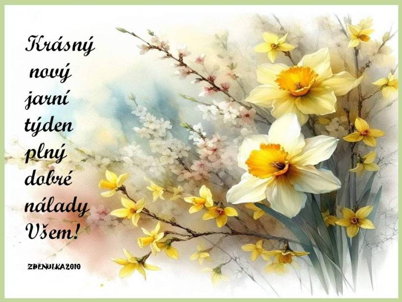 novy-tyden-narcisky