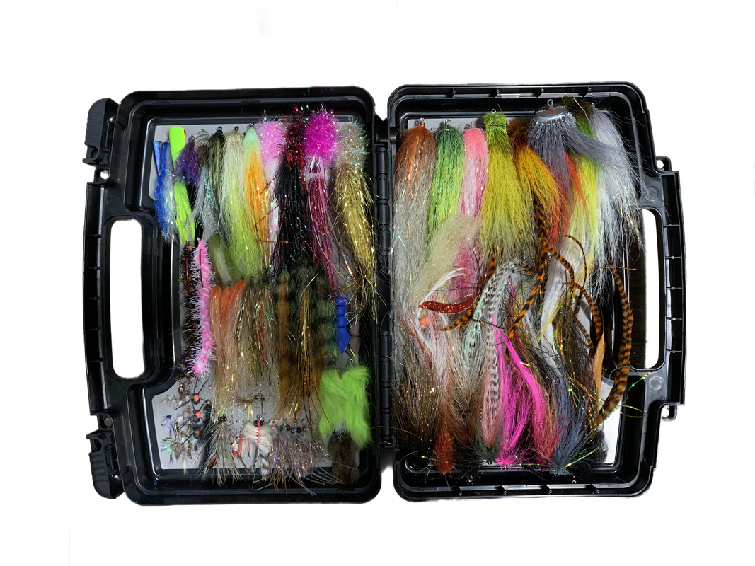 FTR-Fly-Box.png