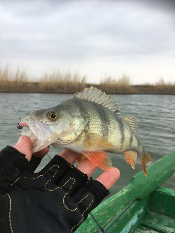 C1FB2886-7F77-4B25-989D-03098E99506A