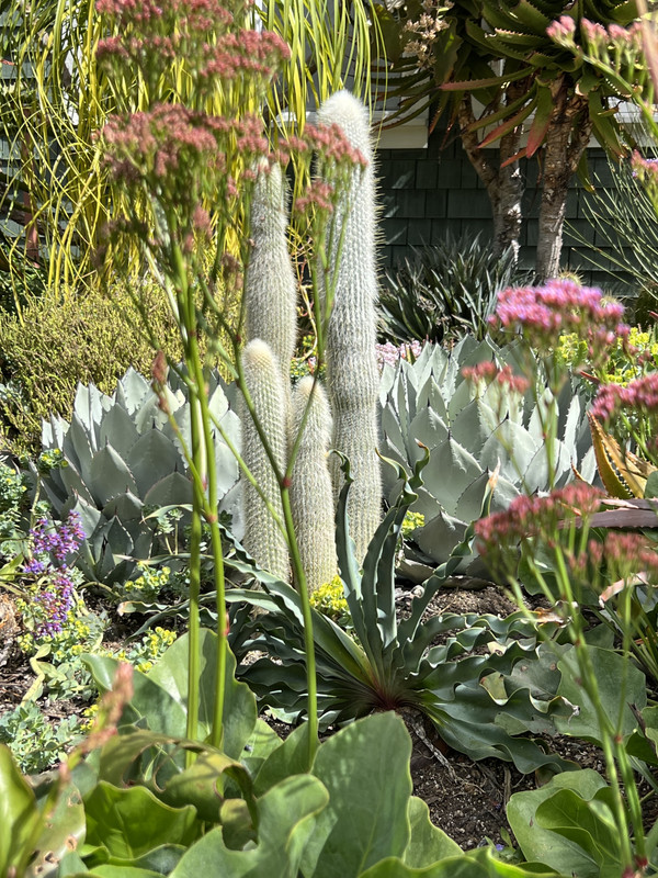 IMG_3360