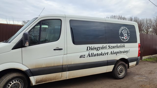 Kép