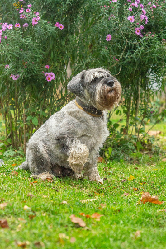 iY8Cmk9JLgnrMEx1QI1XJjoWK5nGptZj_w-DQS6gyl5gmWOuiAh8wYd4-Q3-SvXc7qvJnf_SKaTpPP965yN5TM9v