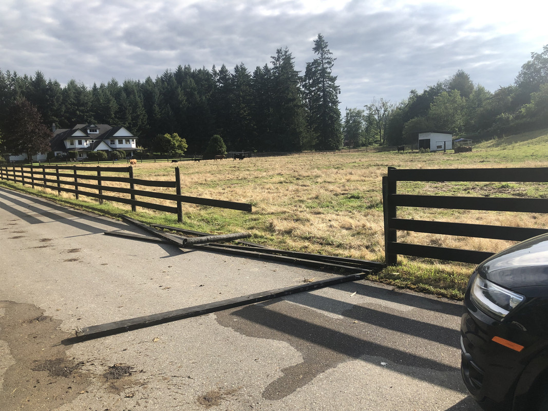 1AA8F676-F39B-4961-B79C-C392BC6292B2