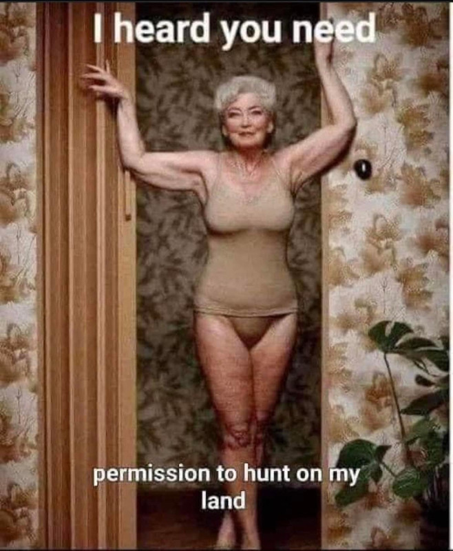 seeking permission