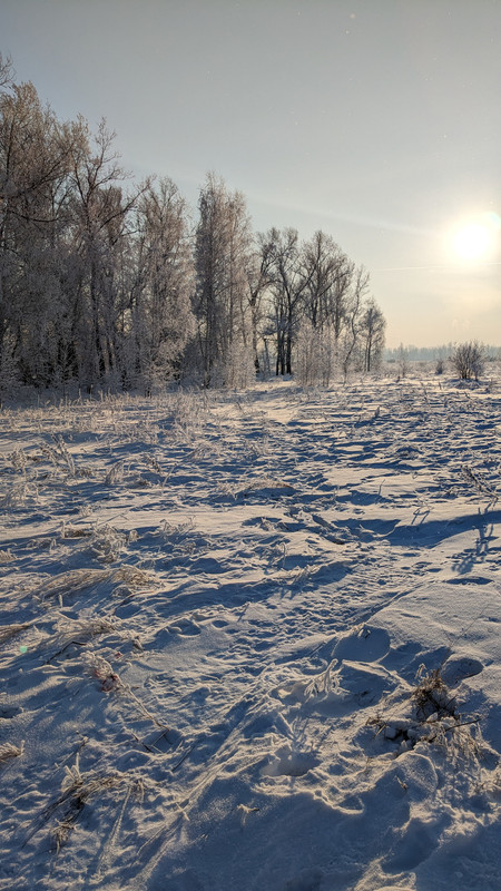 PXL_20240122_081801376