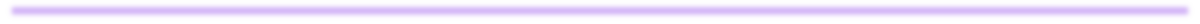  purple divider 