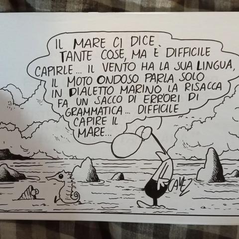 FB-IMG-1772386342728.jpg