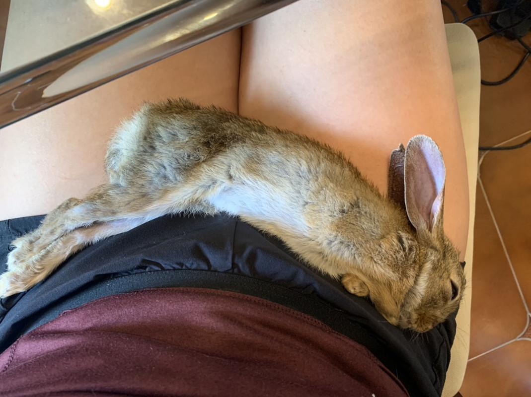 499C7A69-8964-4CE8-A3C0-55A07D0BDB3D