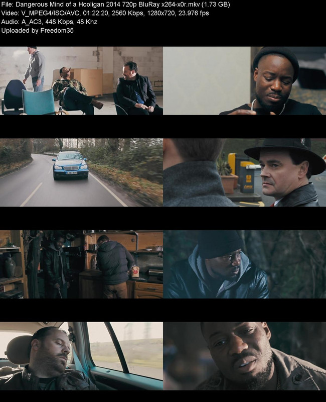 Dangerous-Mind-of-a-Hooligan-2014-720p-B