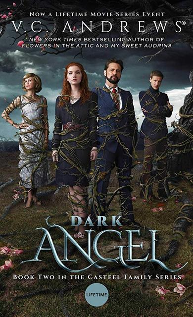 ბნელი ანგელოზი / bneli angelozi / Dark Angel