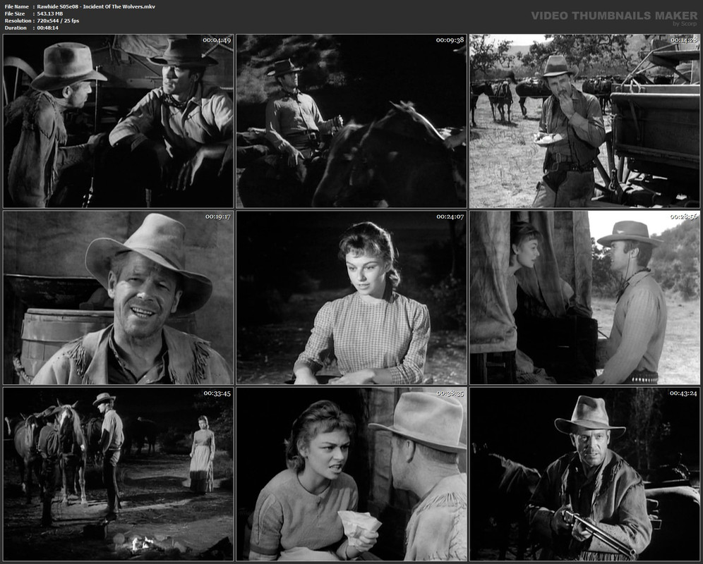 Rawhide S05e08 - Incident Of The Wolvers.mkv