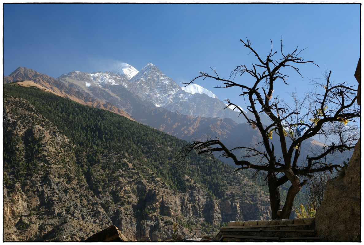AC día 14: Kagbeni (2864 m) a Marpha (2692 m) - Trekking en Nepal: Annapurna Circuit y Mardi Himal (16)