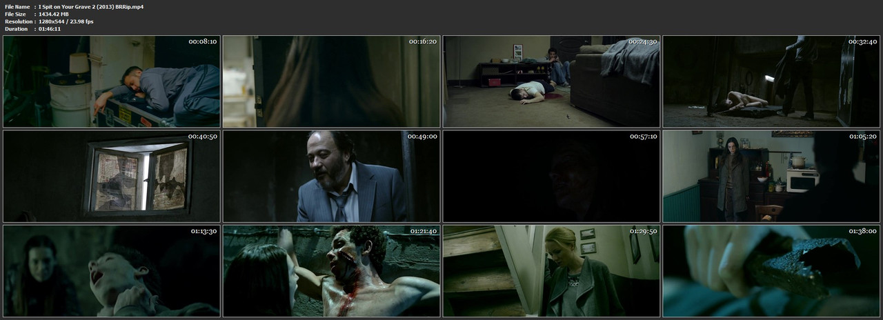 I Spit on Your Grave 2 (2013) BRRip.mp4