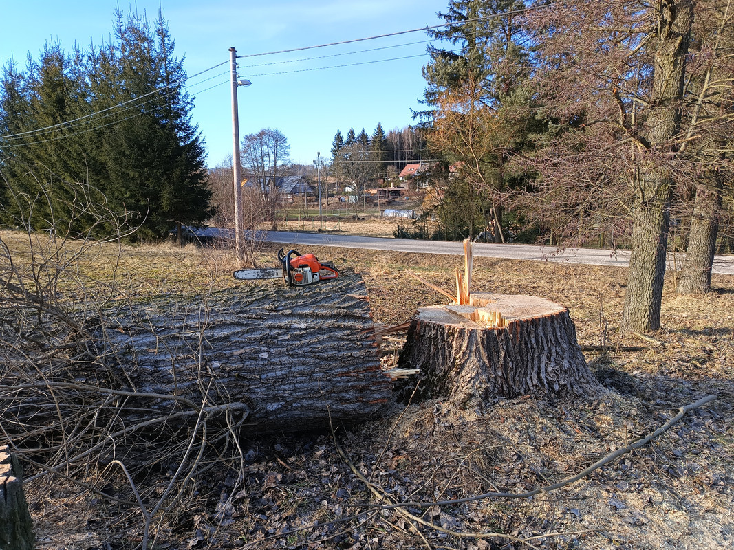 IMG_20250304_153821276