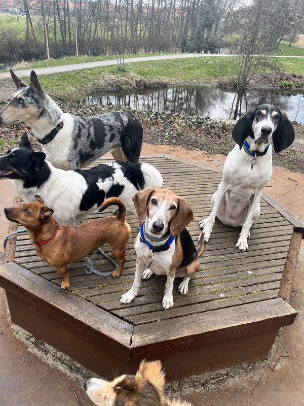 7D676E8A-8CAA-4A7F-A29C-DAF9C034AD40