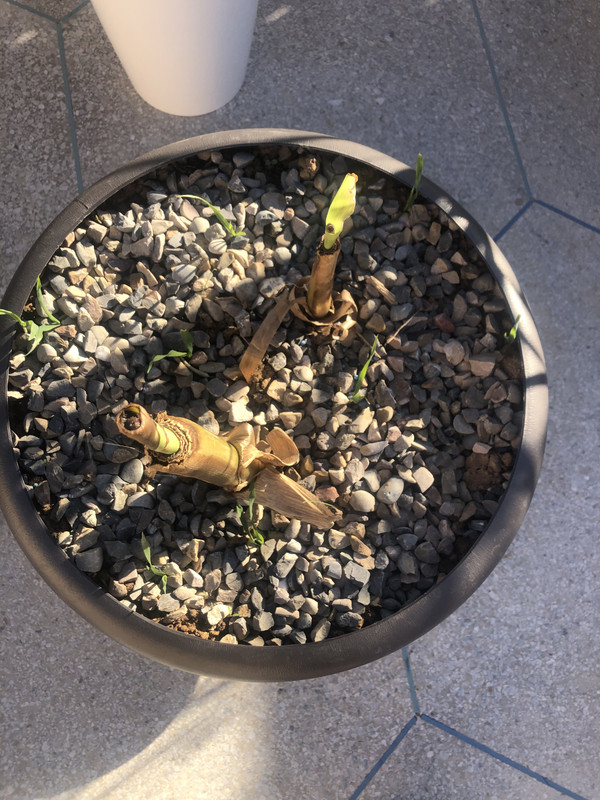 6E2A3EBB-5382-4784-AAFC-79B921046C93