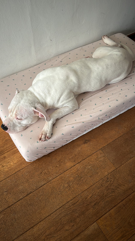 CBF5D3F6-0064-4CC4-9123-72F50662CF9F