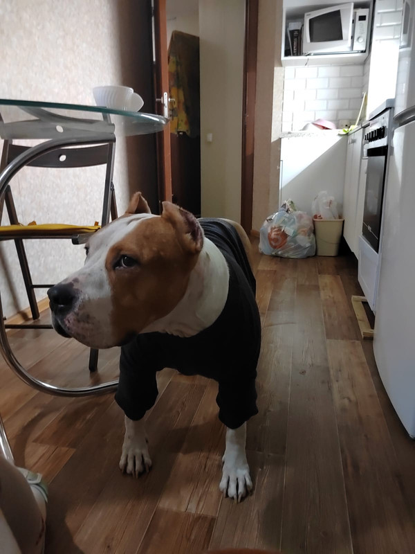 0531234A-BBDC-4952-9ADC-2E17612A7BDE