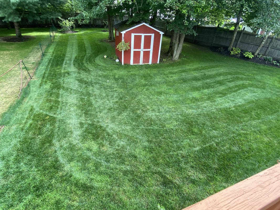 EE234ACB-331A-4913-B7C3-5DB2AB8354A8