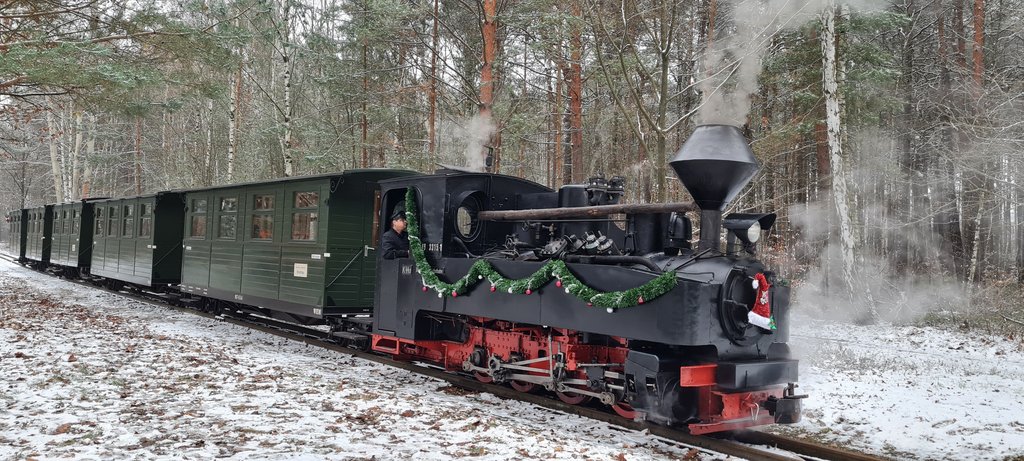 De Berlín a Sajonia: la magia de la Navidad - Blogs de Alemania - Rakotzbrücke(puente del Diablo)-Waldeisenbahn Muskau(tren de la navidad)-Görlitz (9)