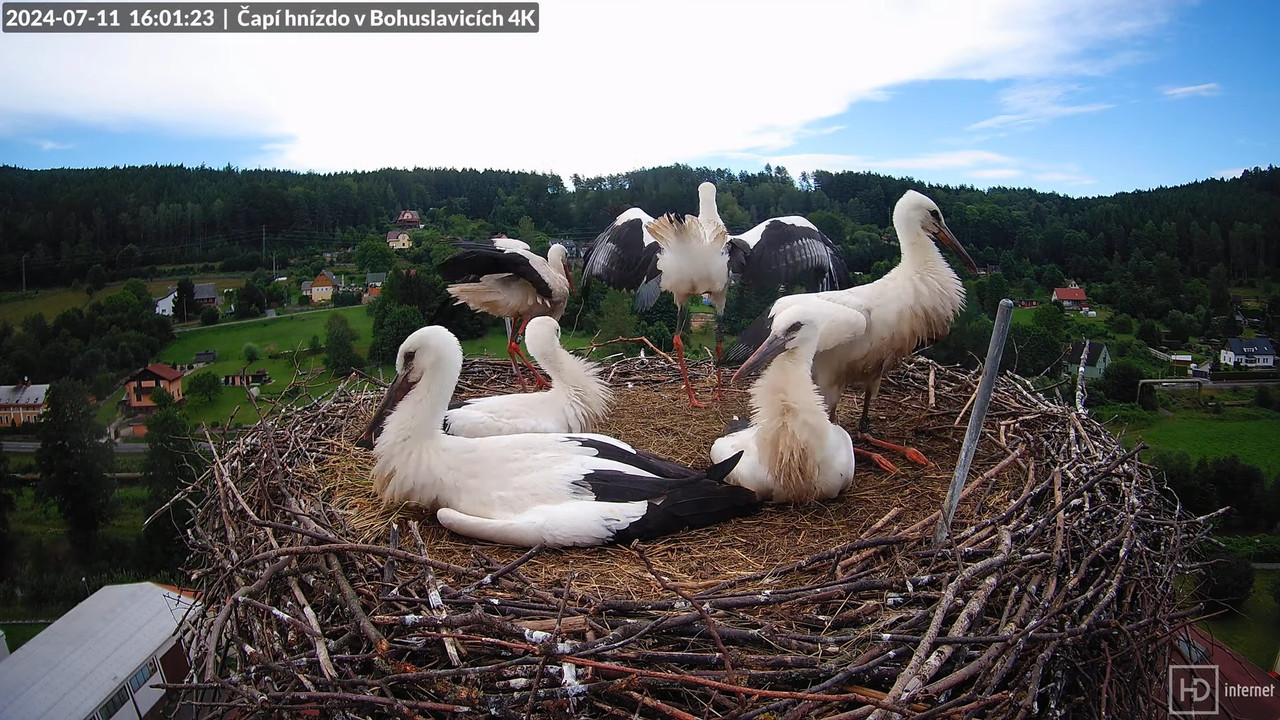 Tiešraidē no uzņēmuma KARA stārķa skursteņa Bohuslavicē pie Trutnovas 16-28-23 screenshot