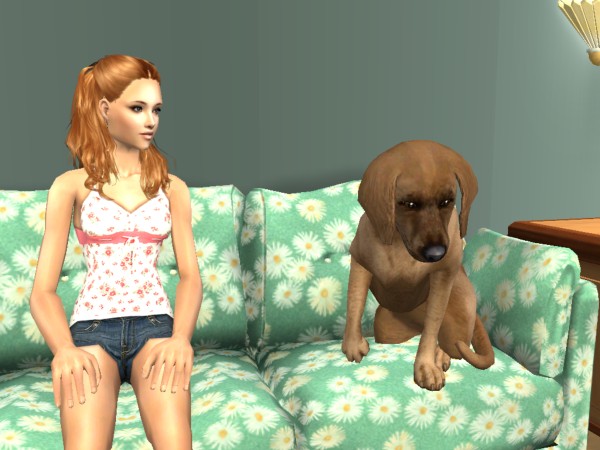 Hellohello: Domy - Stránka 5 Snapshot-c9b5e381-89b605ef