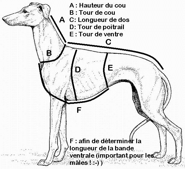 [Image: 10492093-1587674521470904-49353530482180401-n.jpg]