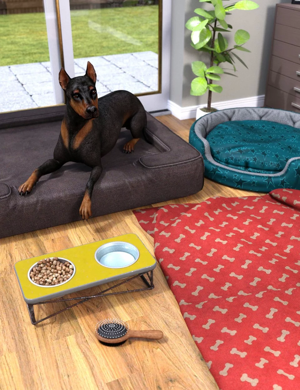 00 main home sweet home props for daz dogs 8 daz3d