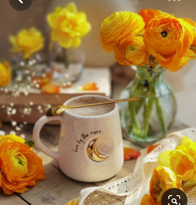 Screenshot_20230622_000213_Pinterest