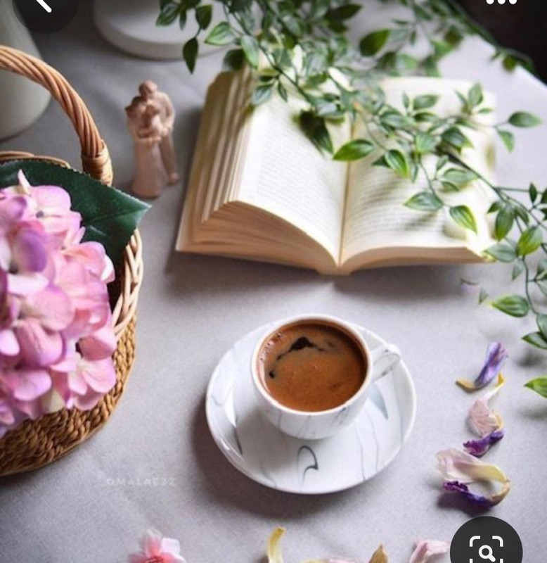 Screenshot_20230905_012407_Pinterest