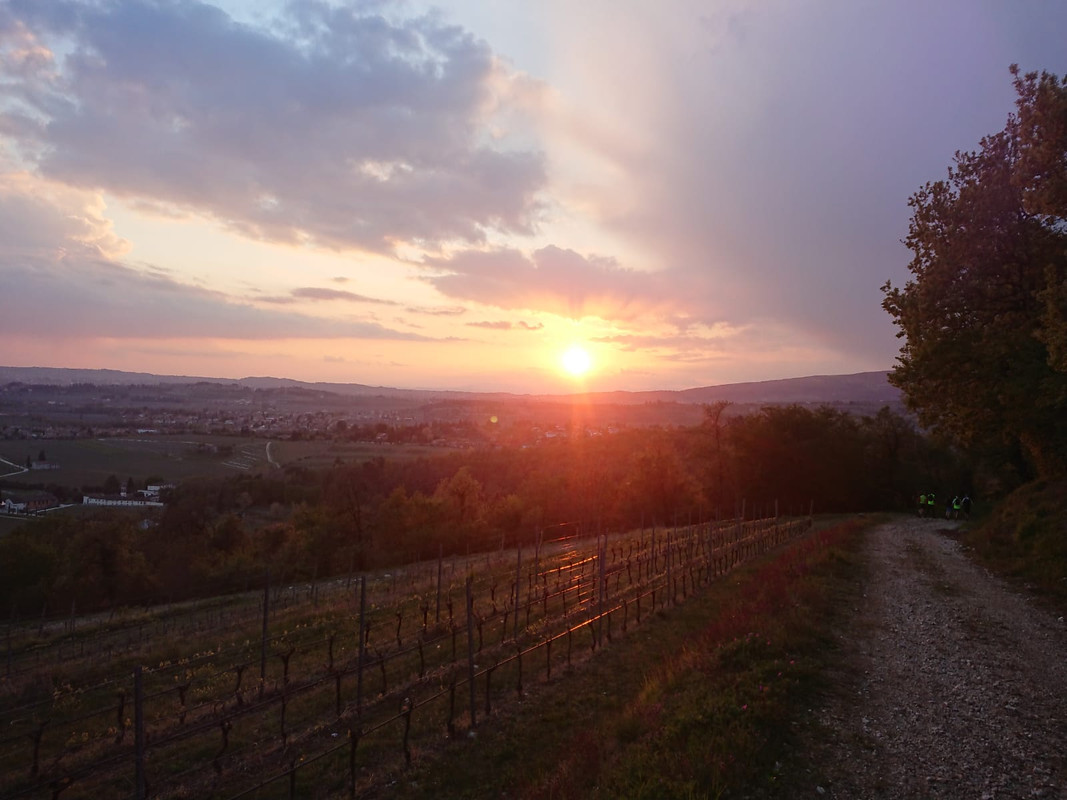 2EE5A80D-C112-4624-8BF3-60D5BA35E09E